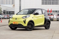 2024款小蚂蚁 青春版 321km 酷爱版